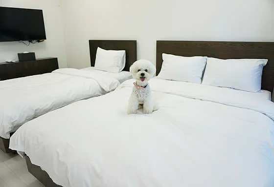 월드스카이호텔 이미지 8