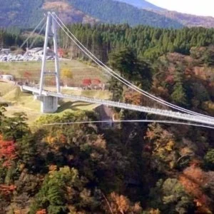 야와라기노사토 야도야 이미지 7