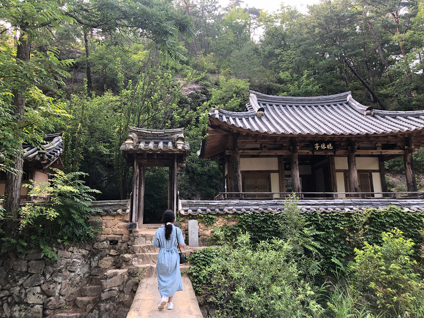 안동 미스터션샤인
