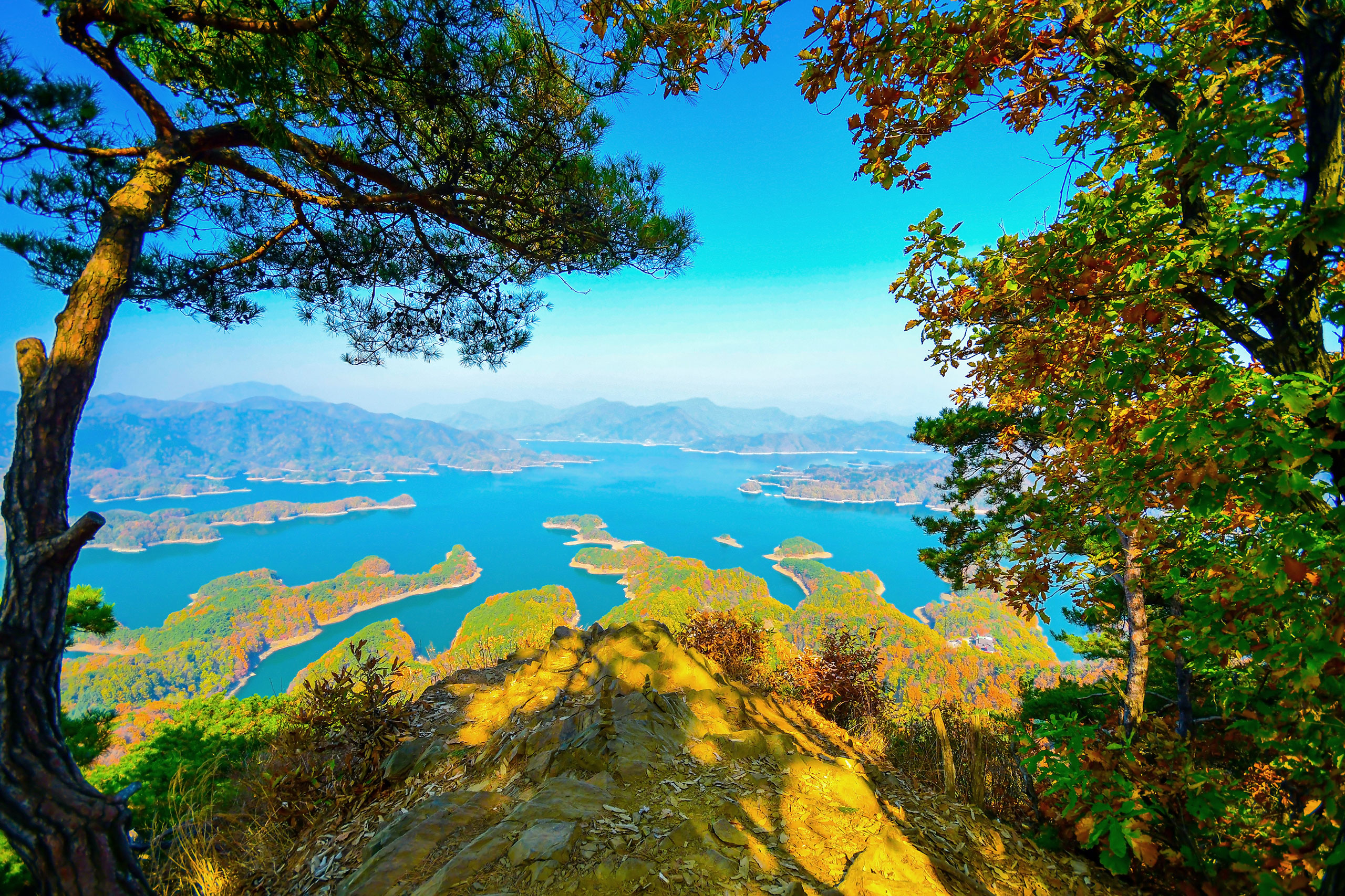 충주 목계솔밭