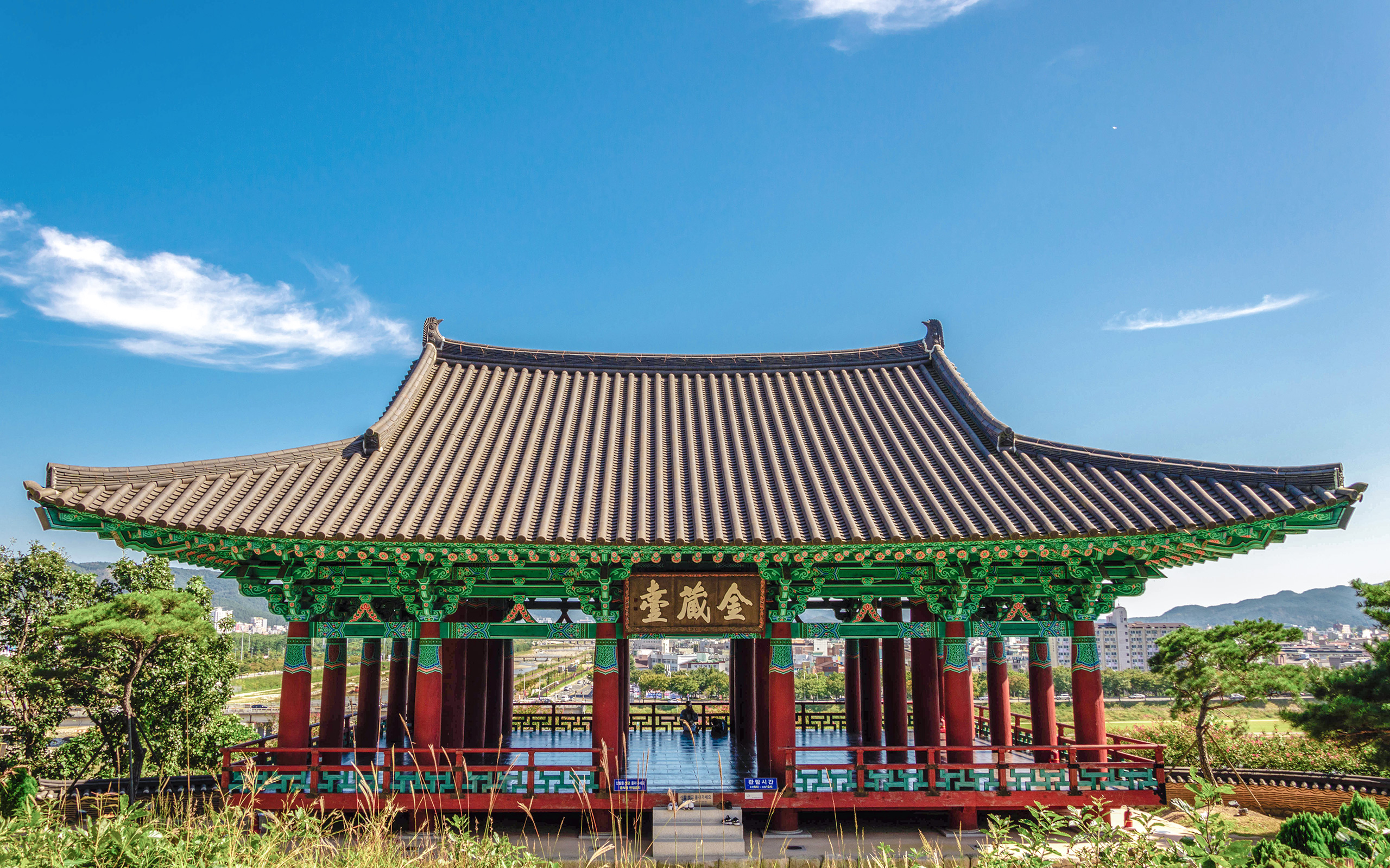 금장대