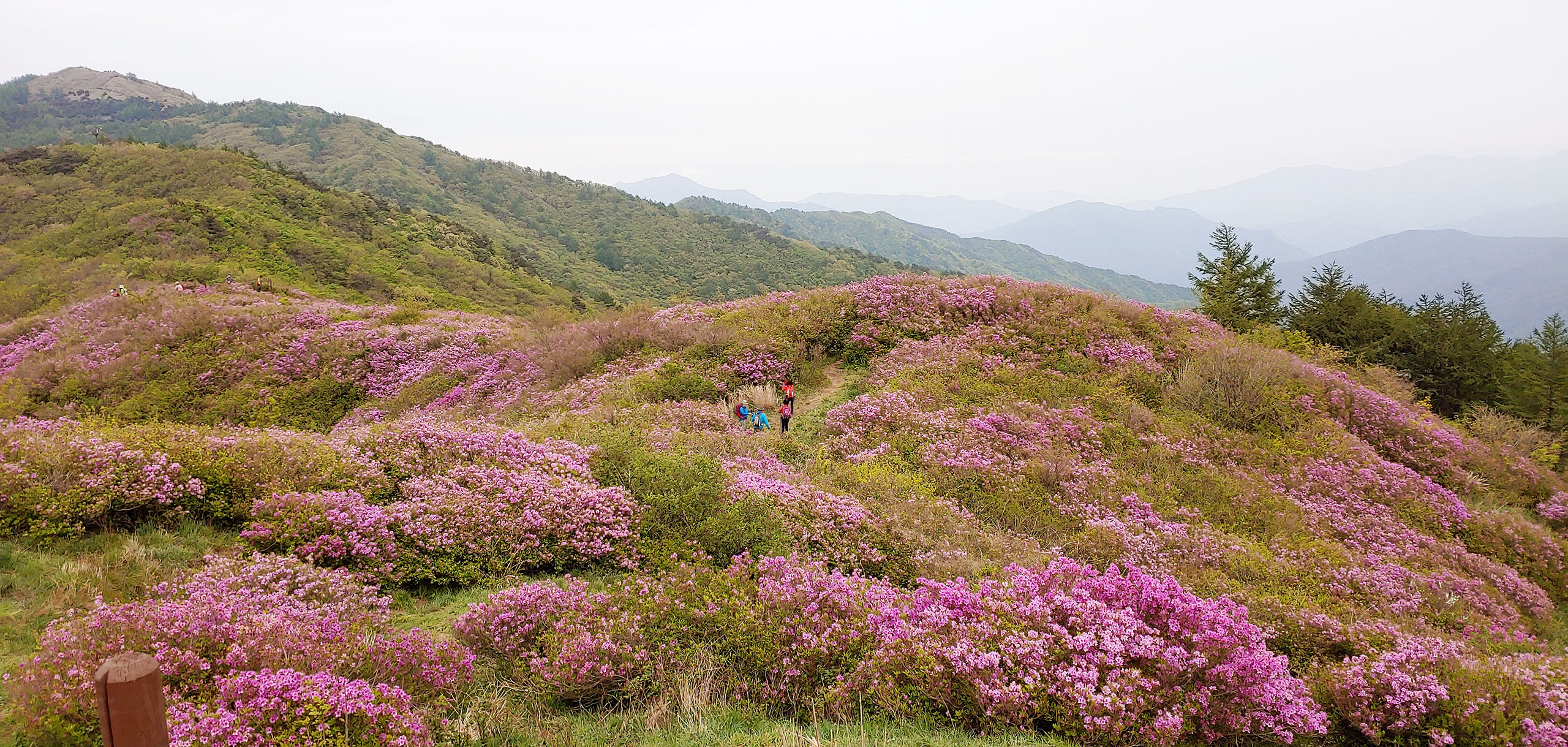 5월, 보라보라한 지리산