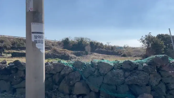 제주 돌담길