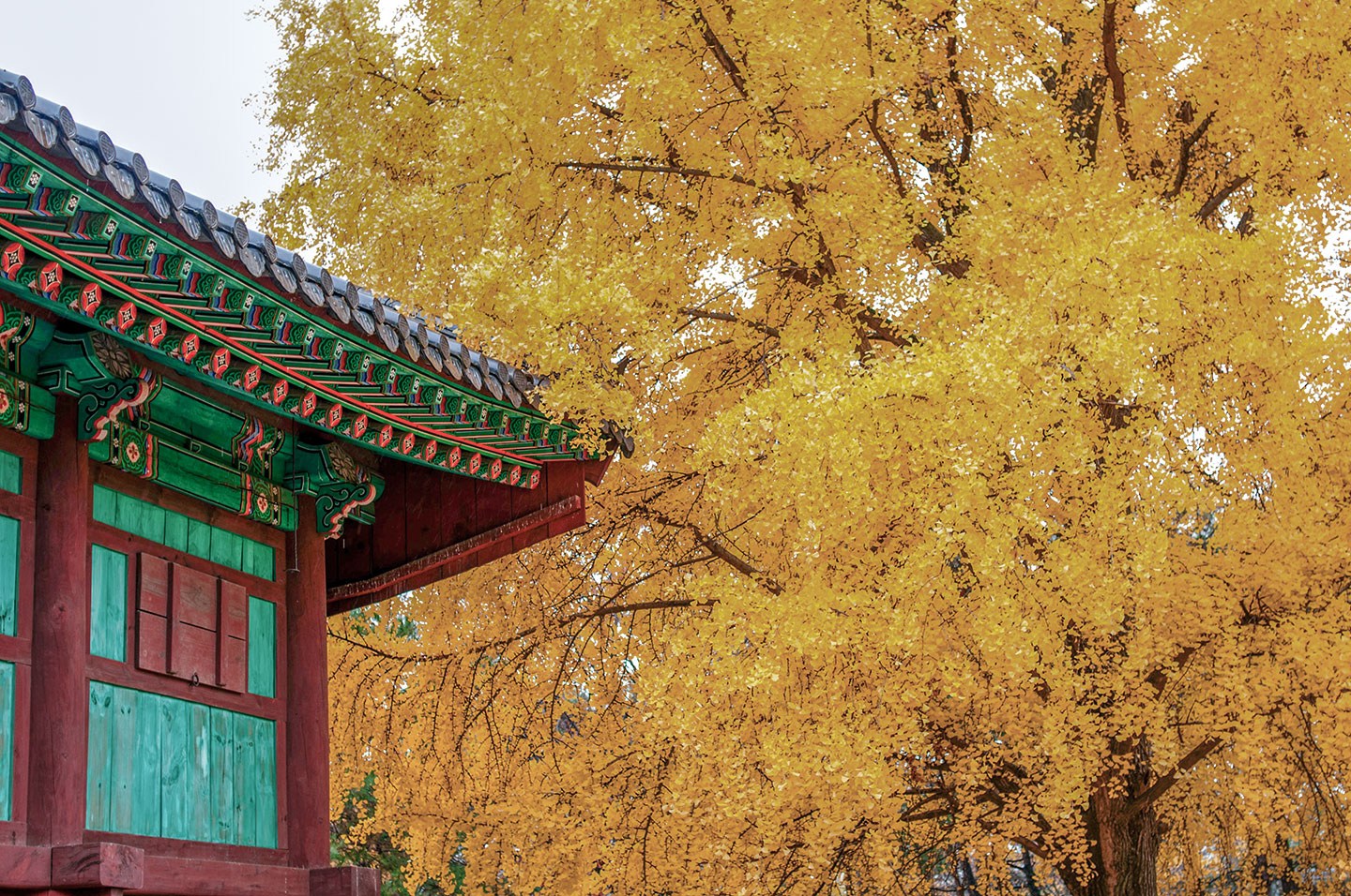 전주 여행 가이드 대표 이미지