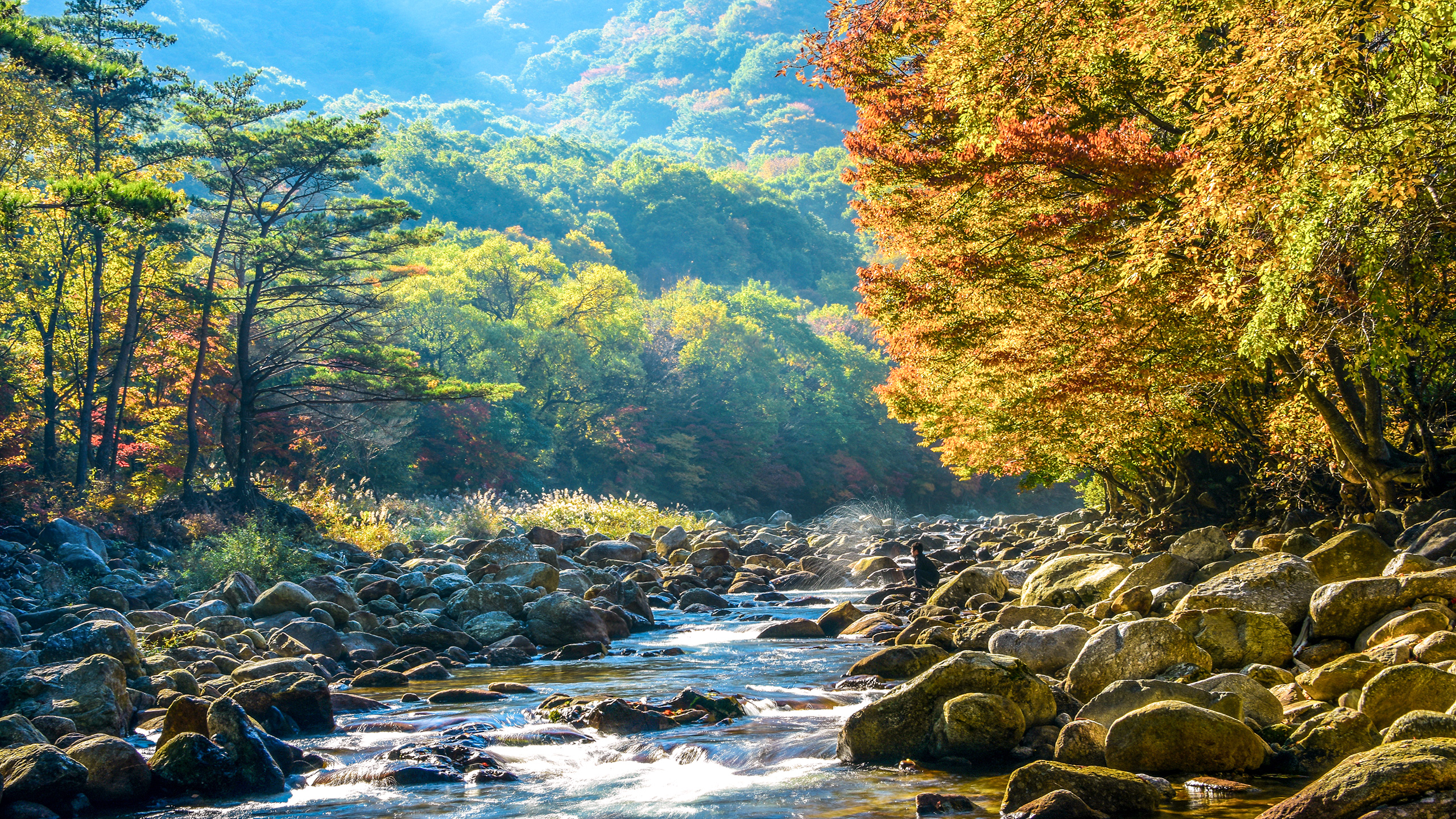 지리산 뱀사골계곡