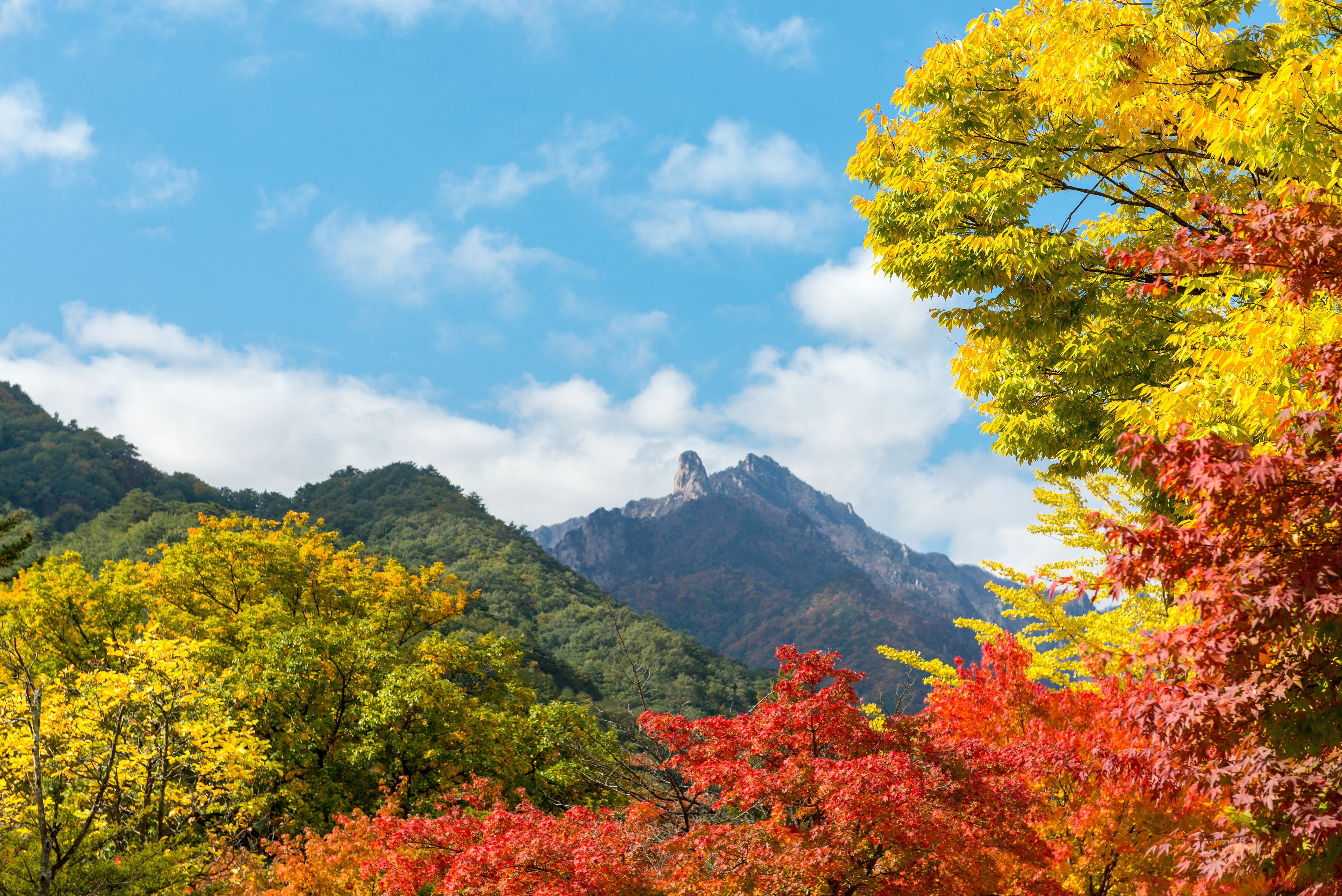 설악산 단풍
