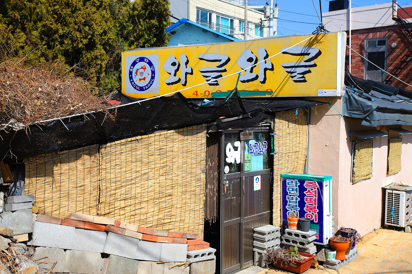 영도 와글와글